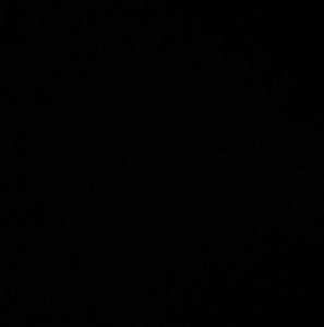 Meet your Posher, Roy